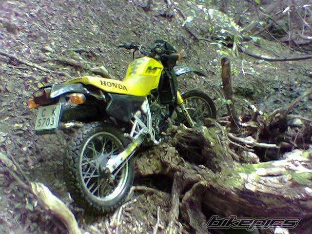 Photo 719810