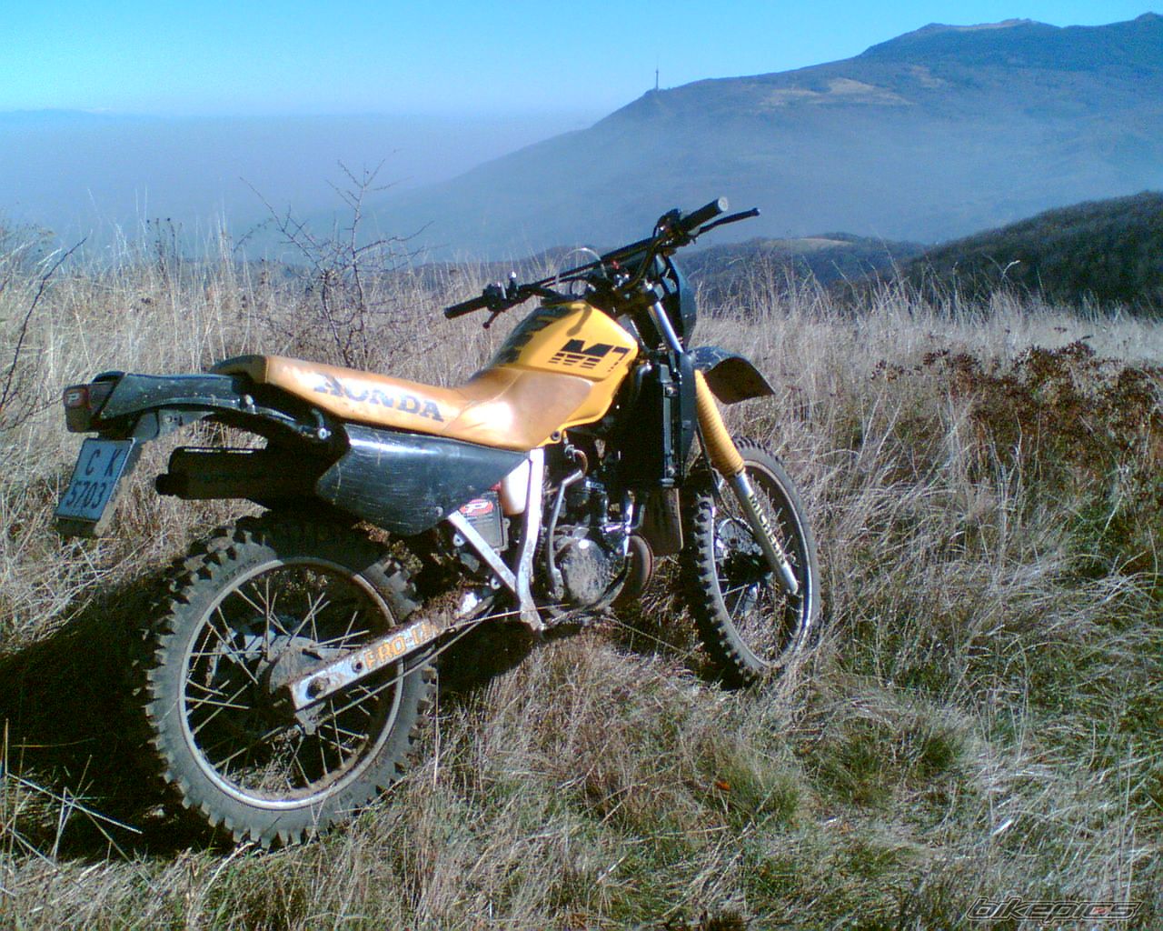 Photo 719813