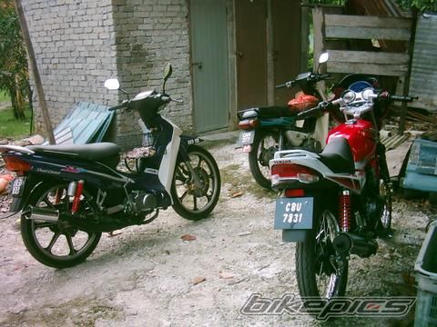Photo 719983