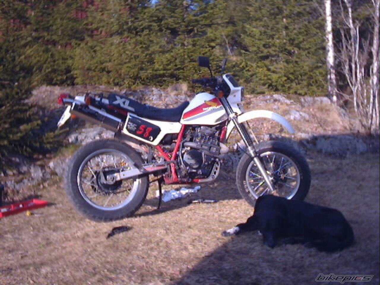 Bike Photo 720229