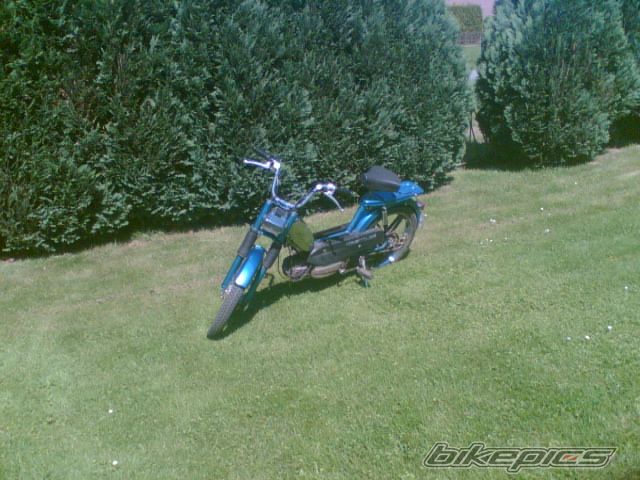 Photo 720408
