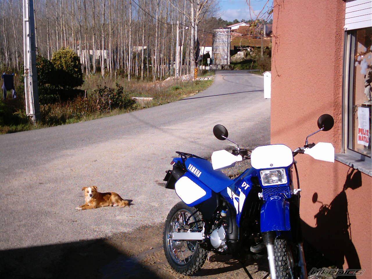 Photo 72088