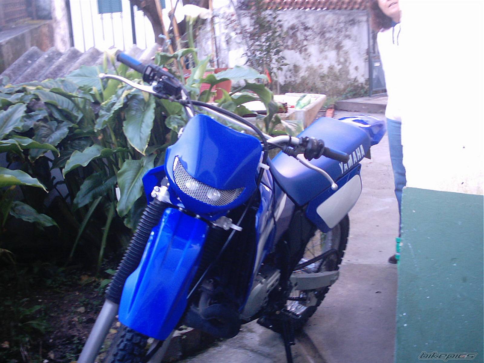 Photo 72101