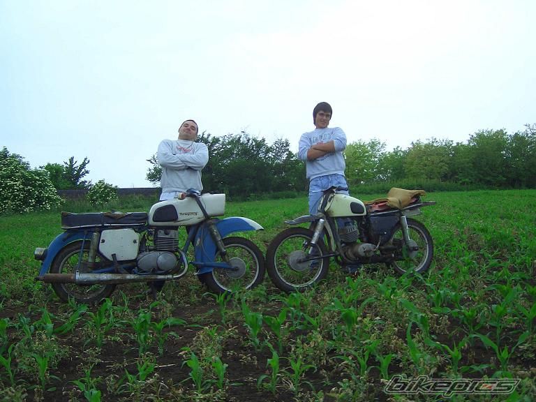 Photo 721539