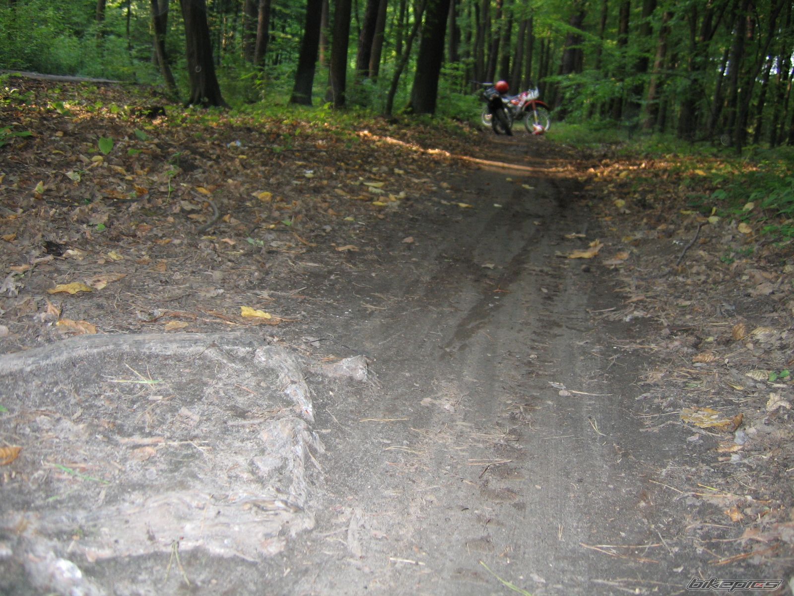 Photo 721575