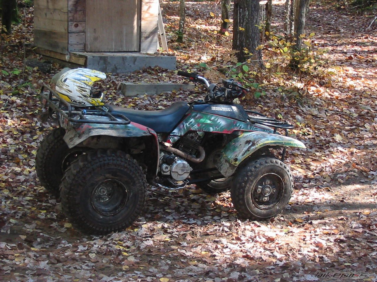 Photo 721578