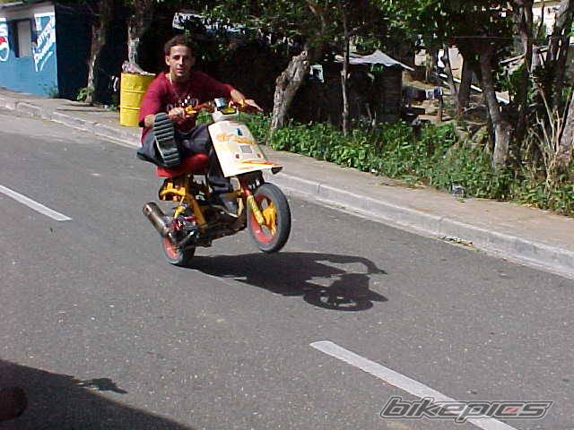 Photo 72173