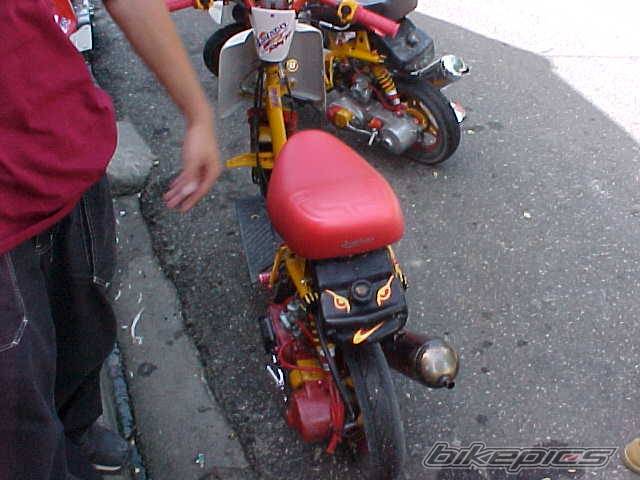 Photo 72178