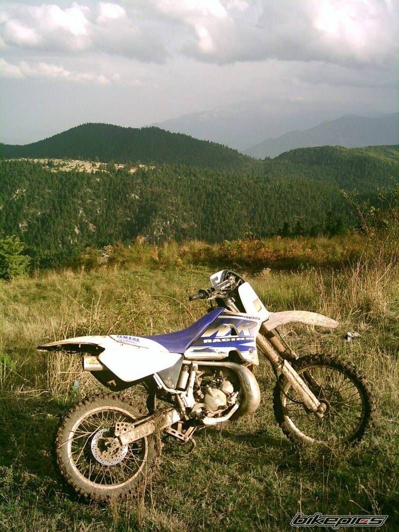 Photo 721977