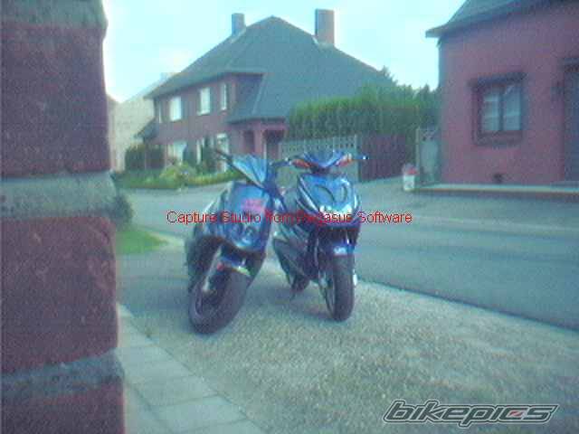 Photo 7221