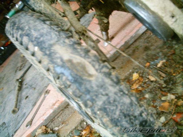 Photo 722121