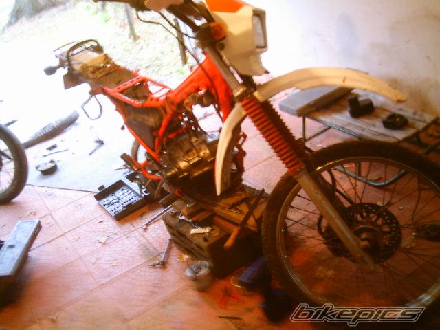 Photo 722127