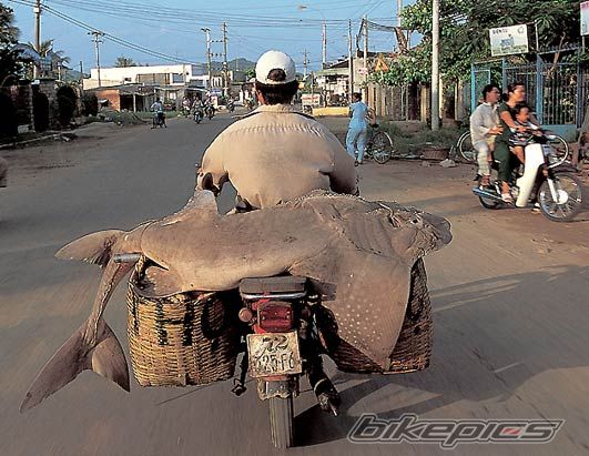 Bike Photo 722138