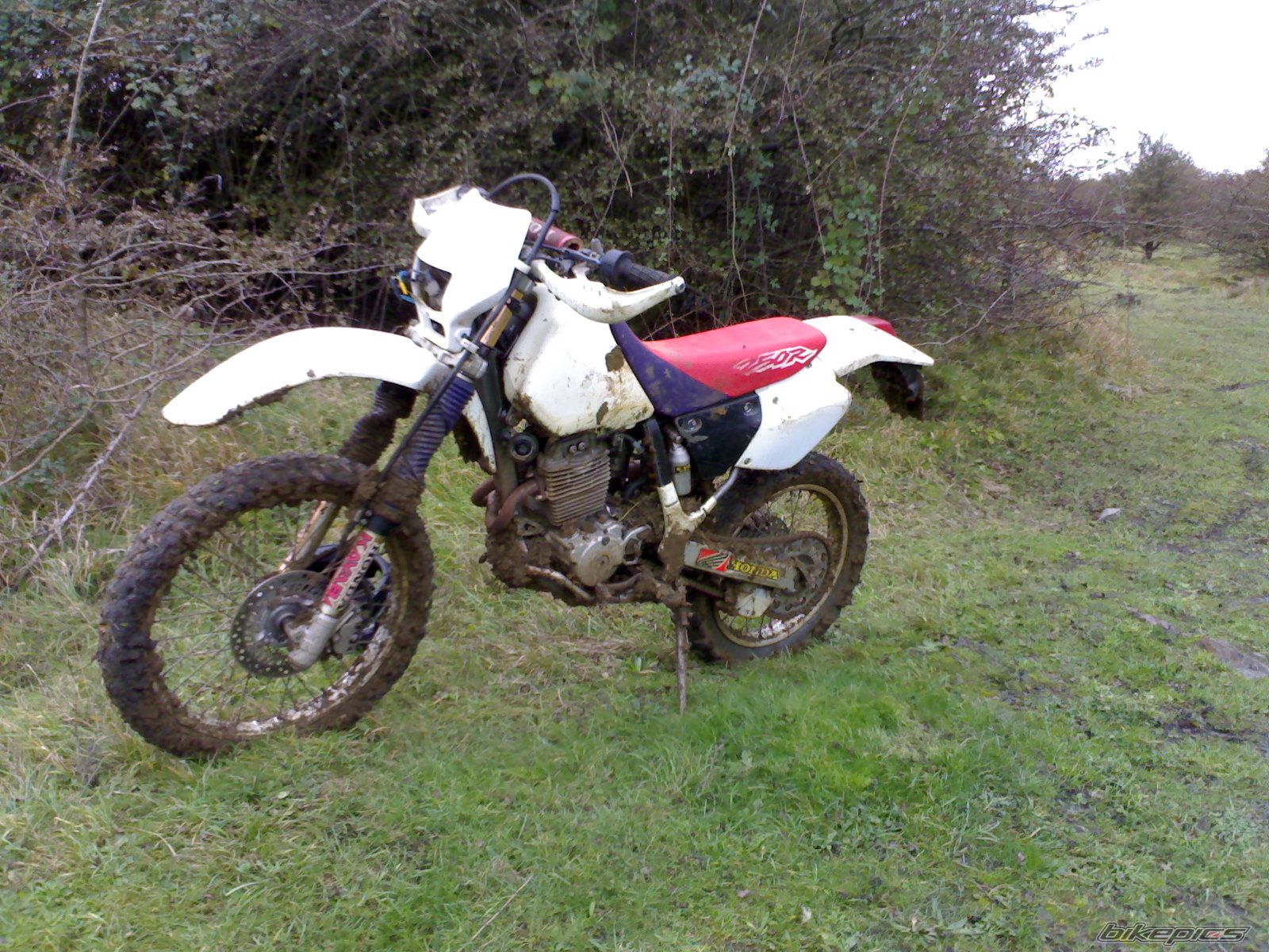 Bike Photo 722253