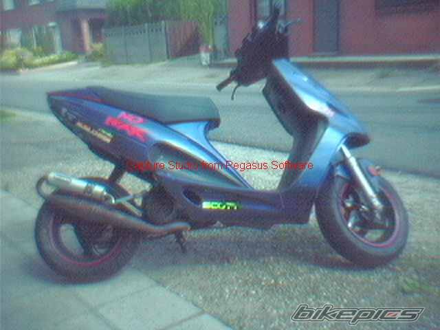 Photo 7223