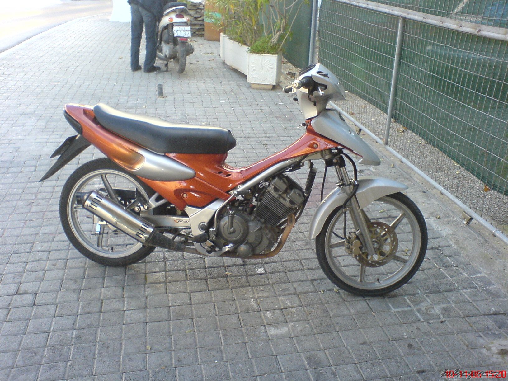 Photo 722589