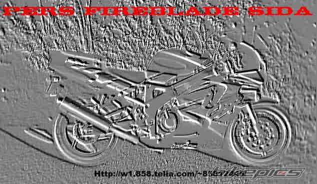 Photo 7226