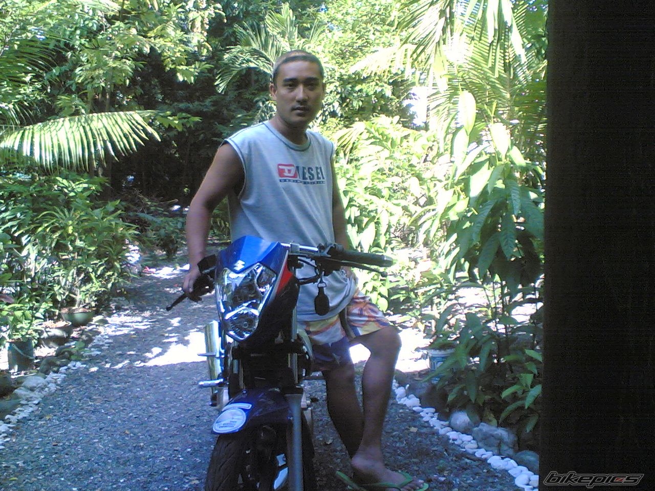 Photo 722786