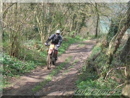 Photo 722953
