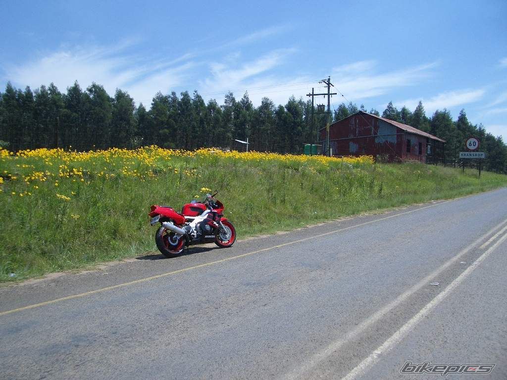 Photo 722958