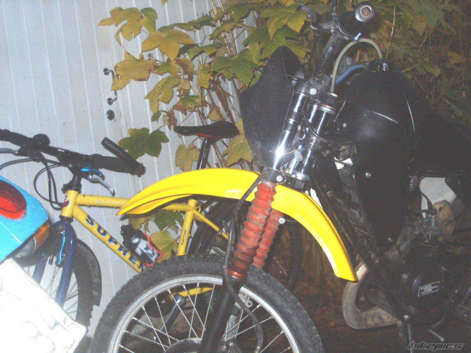 Photo 72301