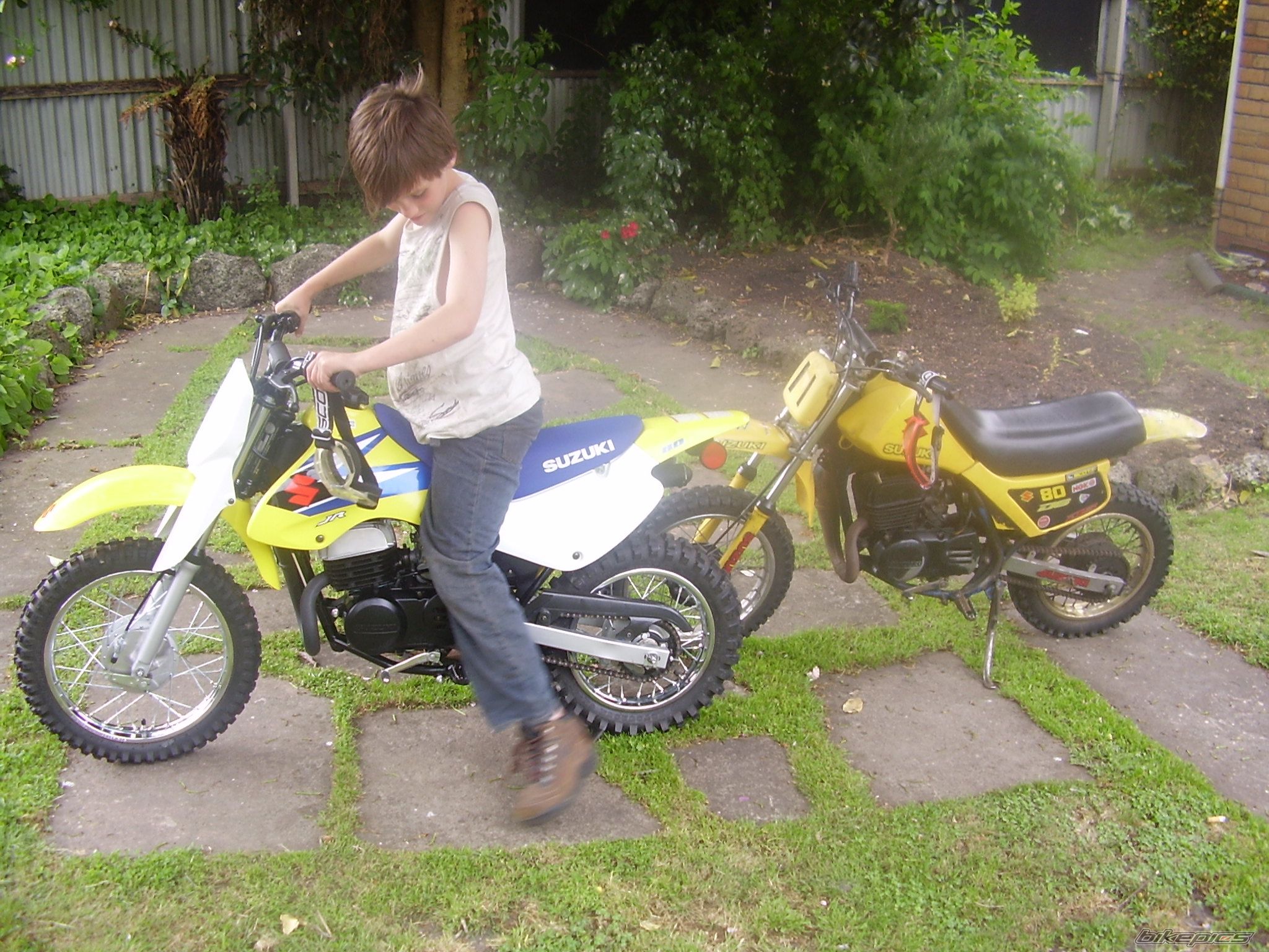 Photo 724328