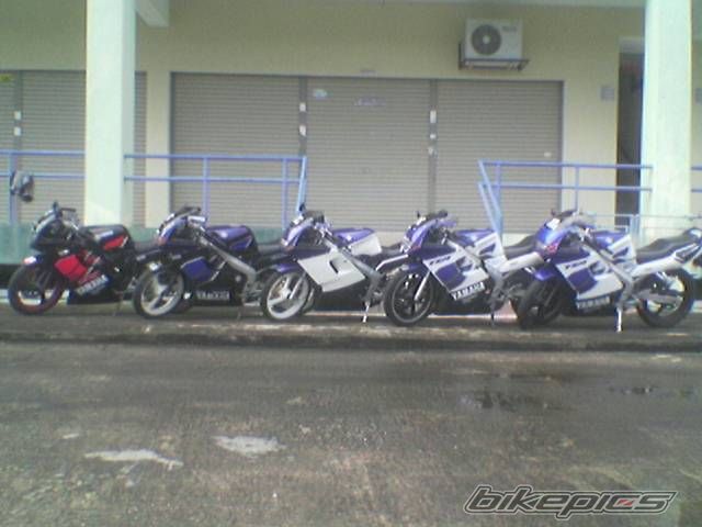 Photo 724345