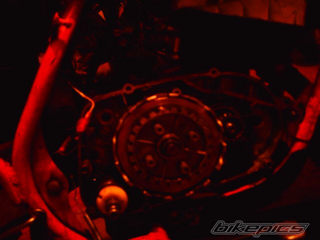Photo 724573