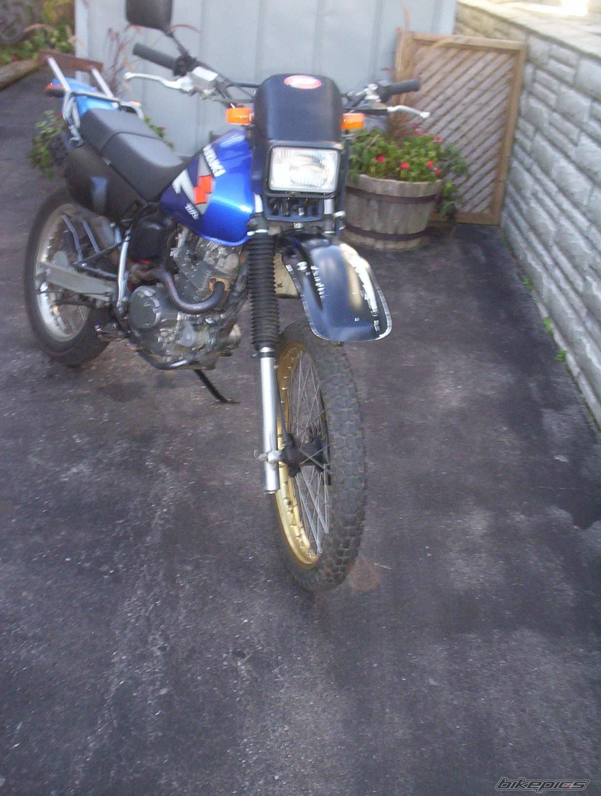 Photo 724585