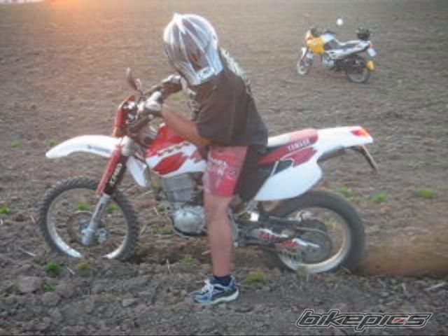 Photo 724639