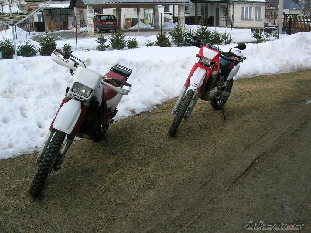 Photo 724669