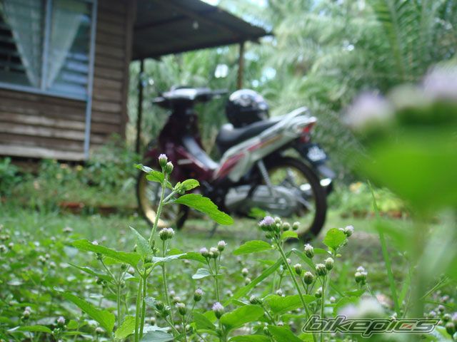 Photo 725175