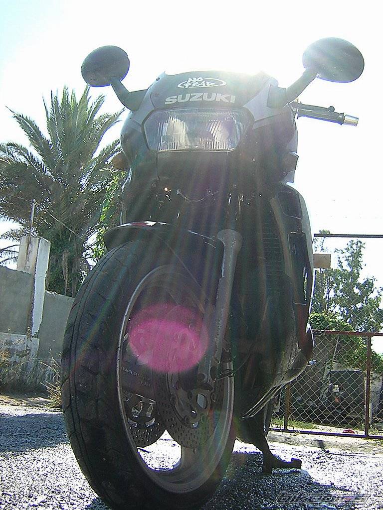 Photo 72519