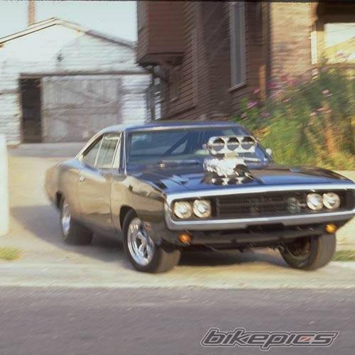 Photo 7252
