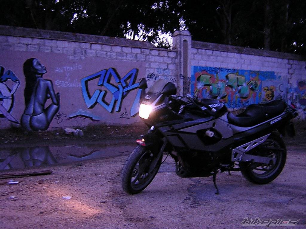 Photo 72528