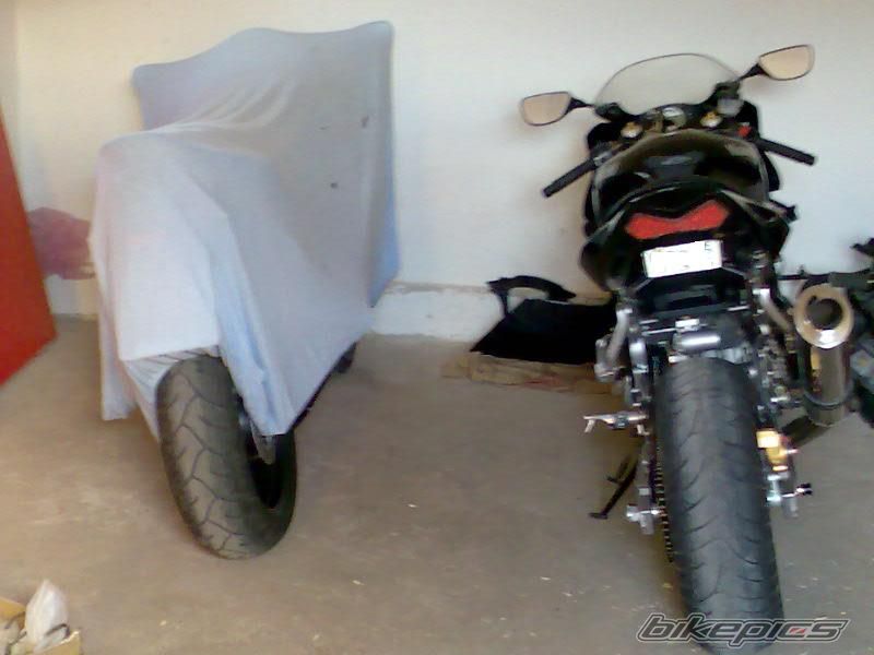 Photo 725349
