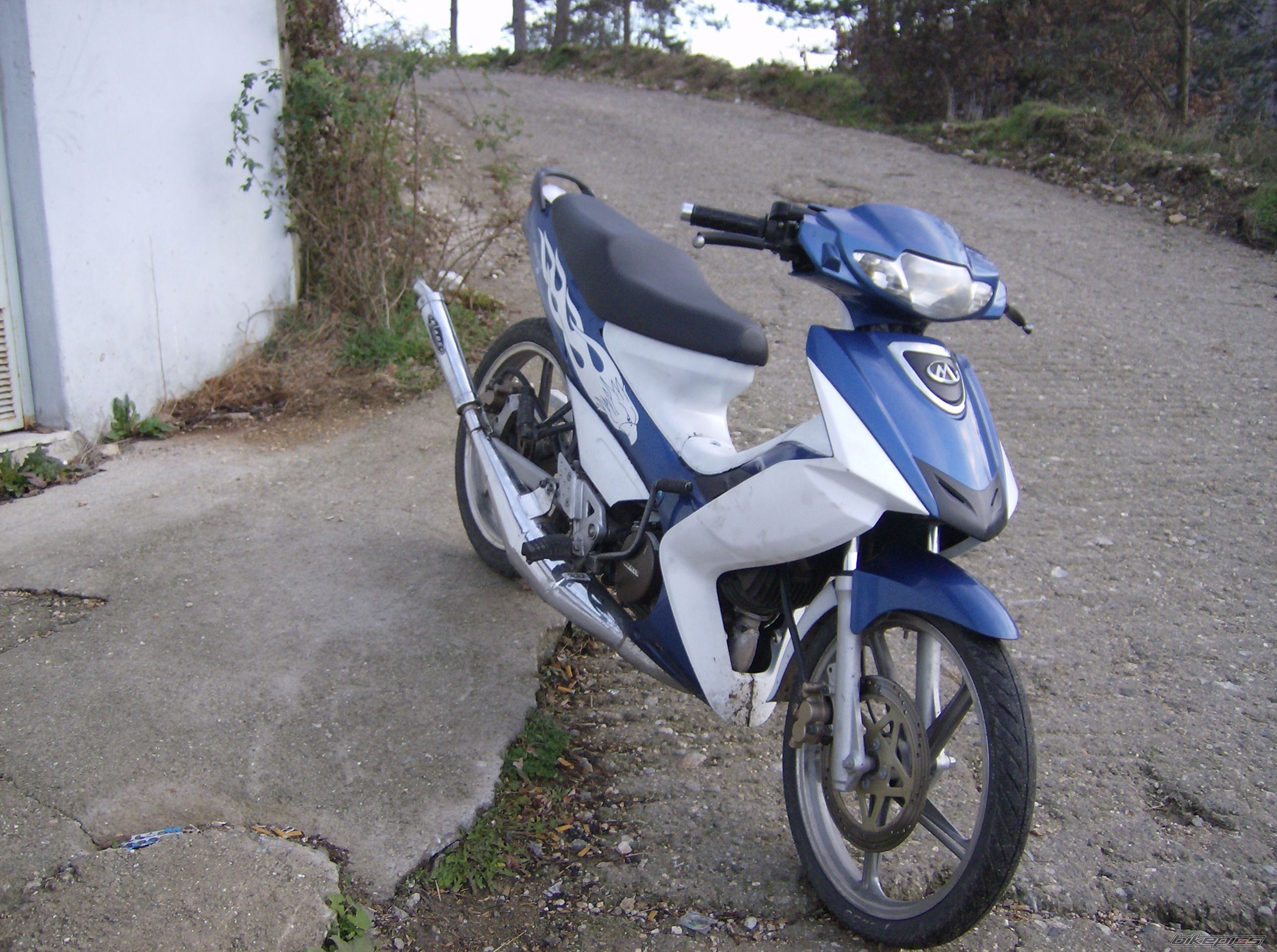 Photo 725464