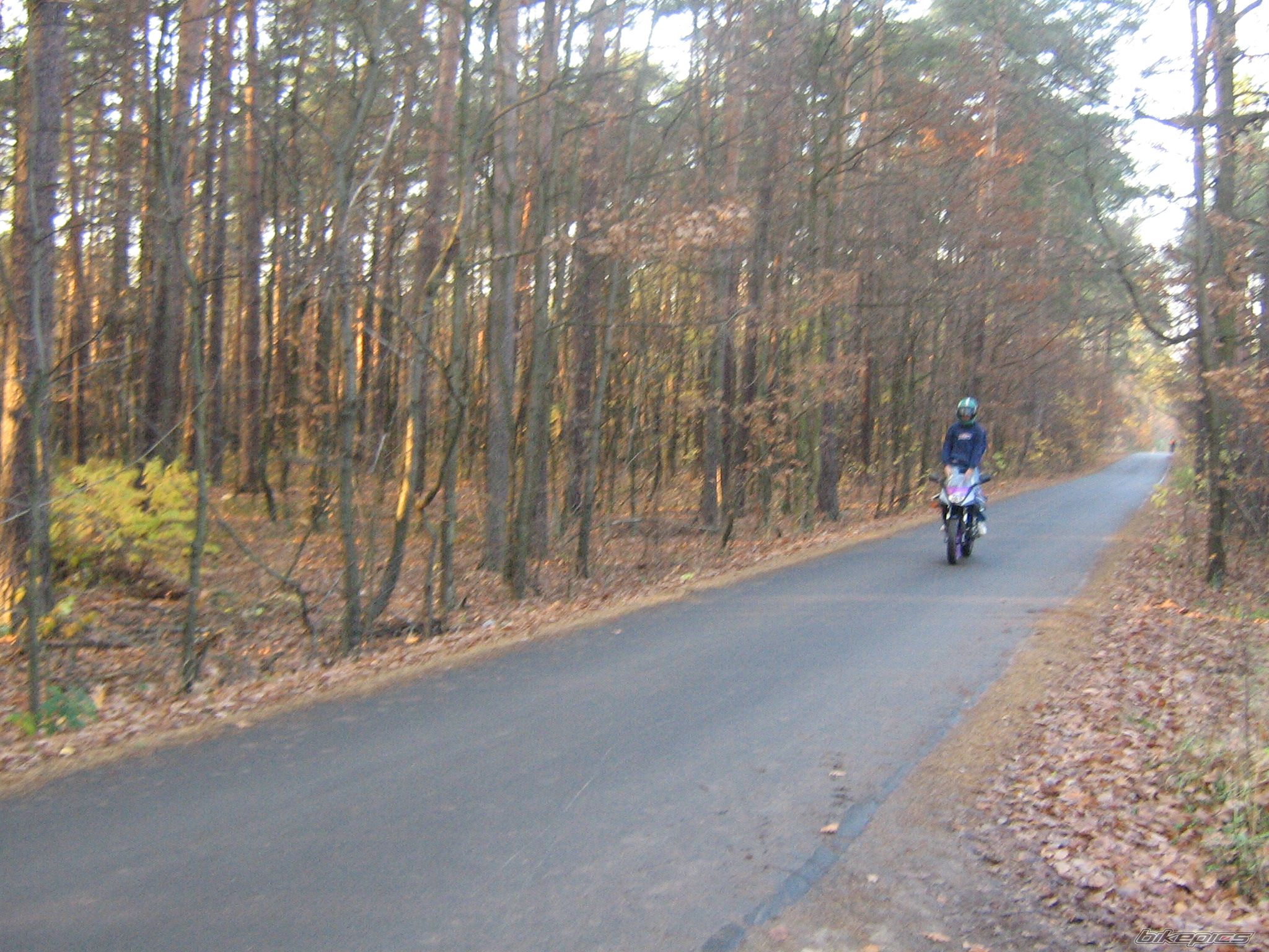 Bike Photo 725645
