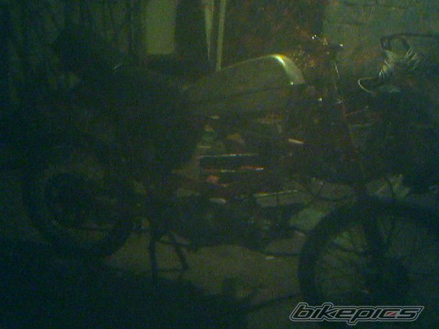 Photo 725706