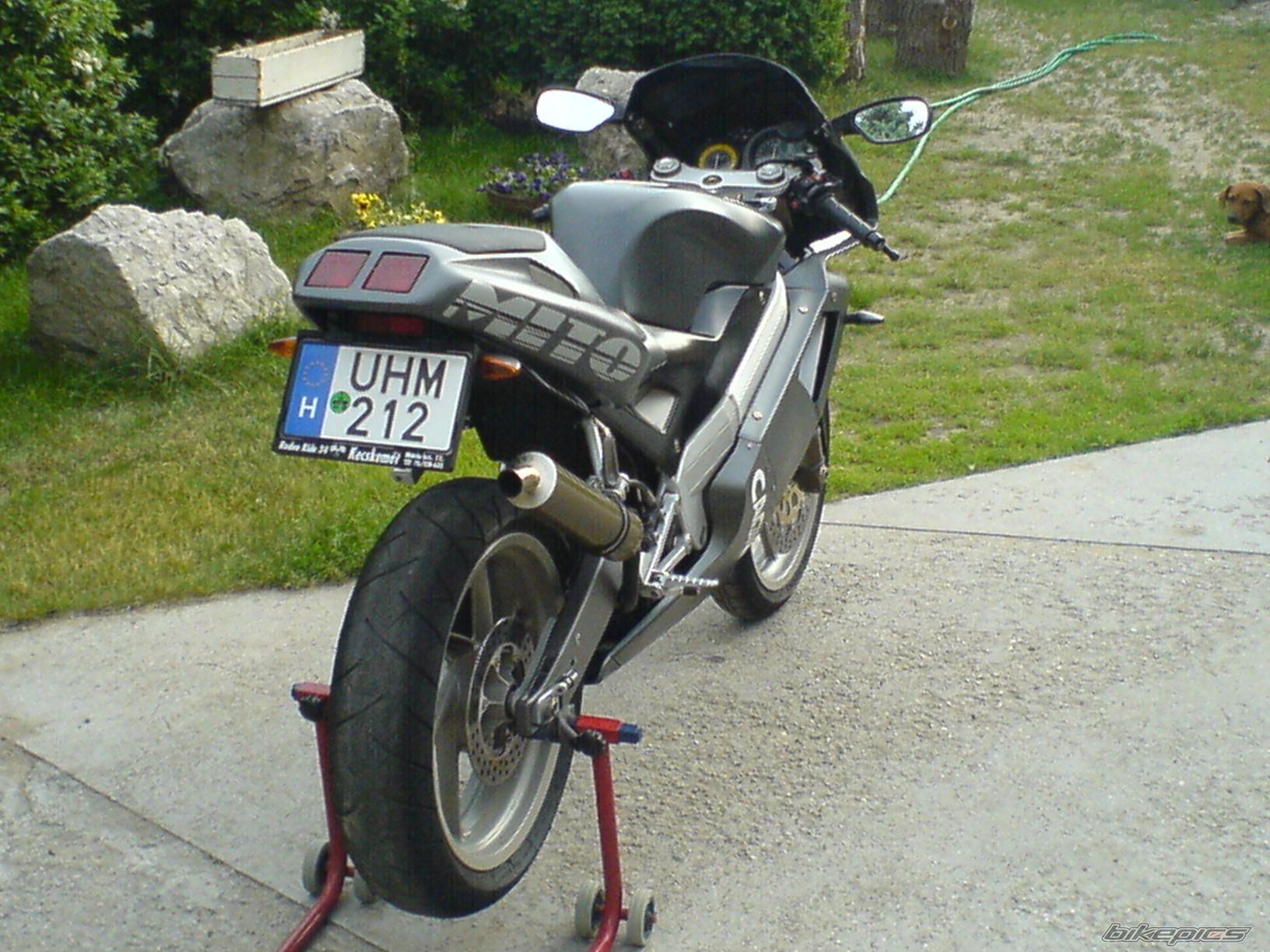 Photo 725857
