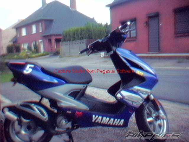 Photo 7259