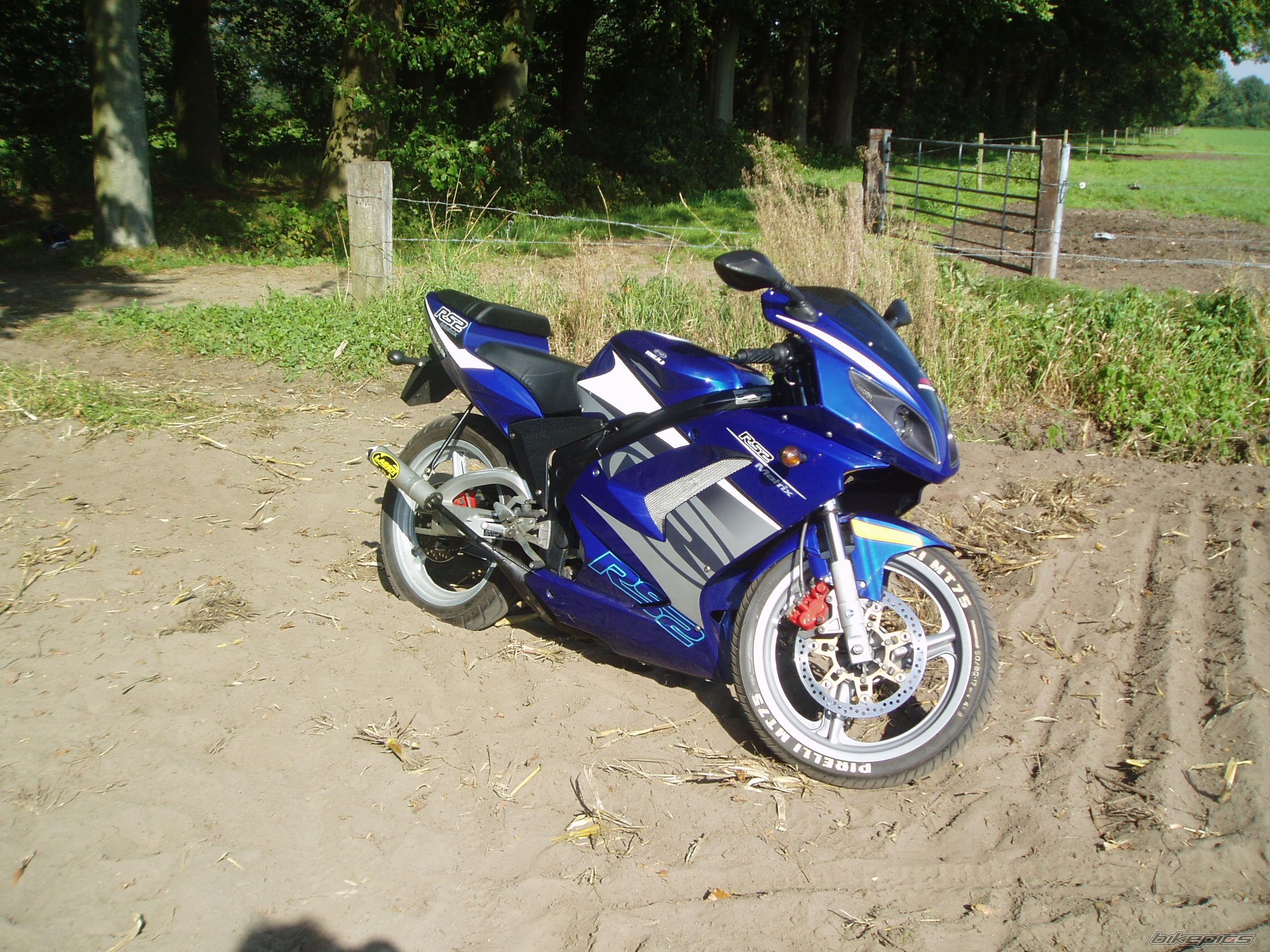 Photo 725981