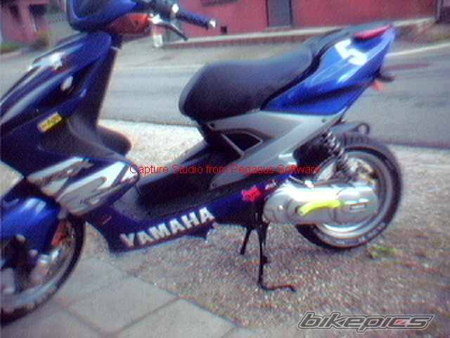 Photo 7260