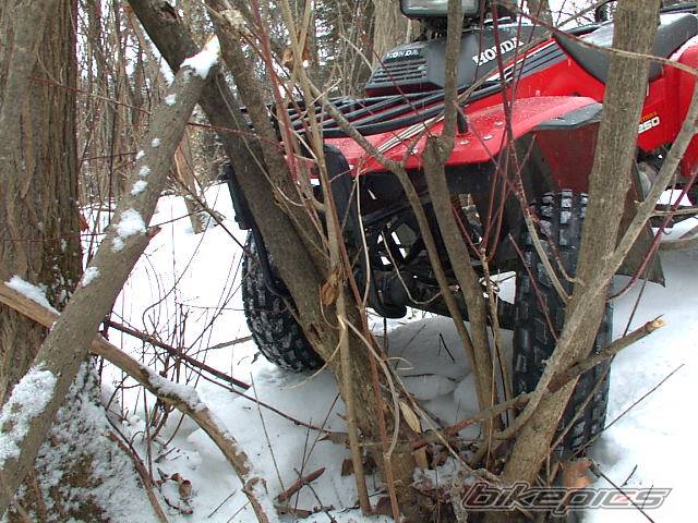 Photo 72601