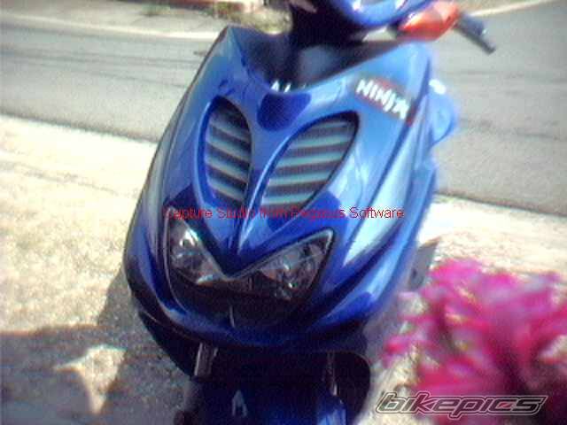 Photo 7261
