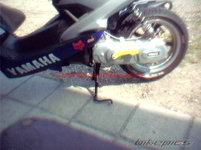 Photo 7262