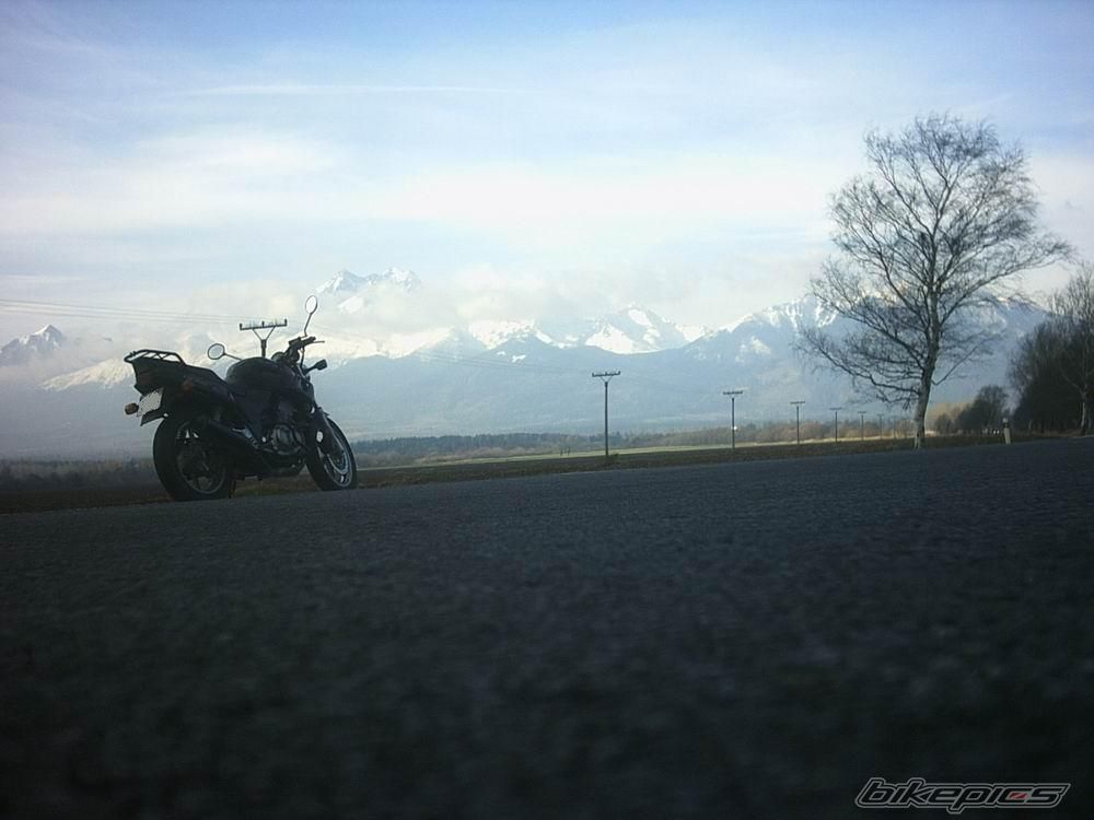 Photo 726237