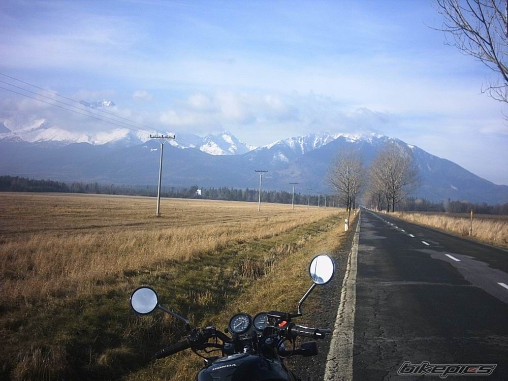 Photo 726242