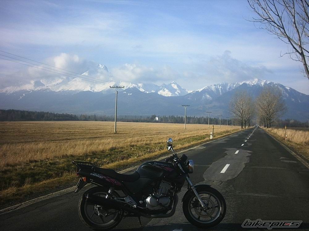 Photo 726246