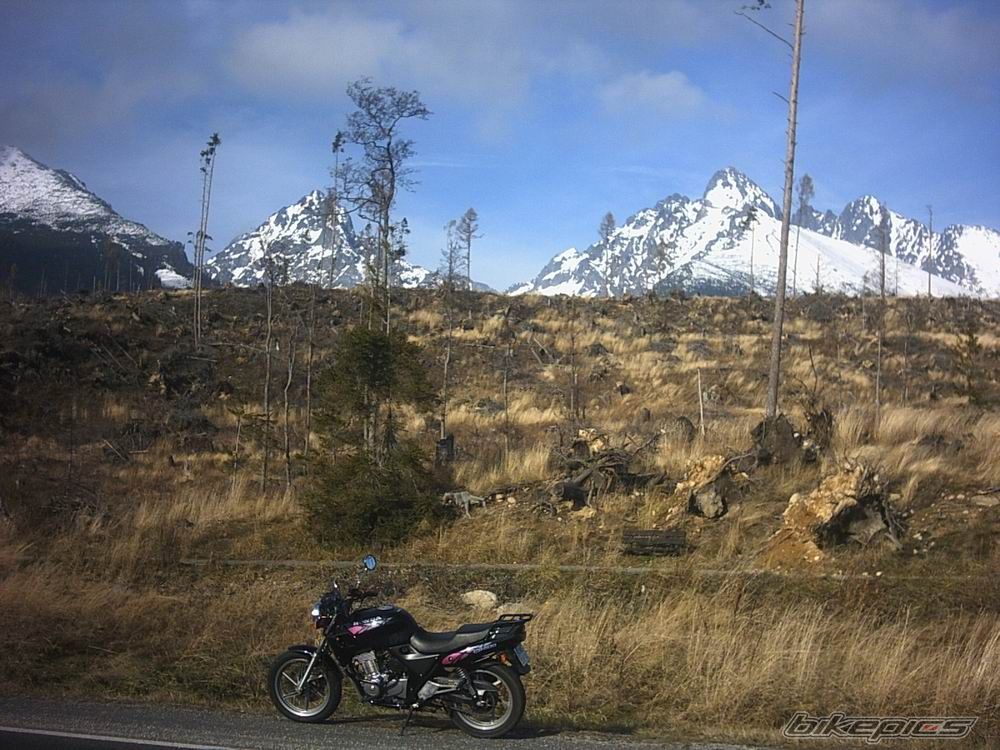 Photo 726253